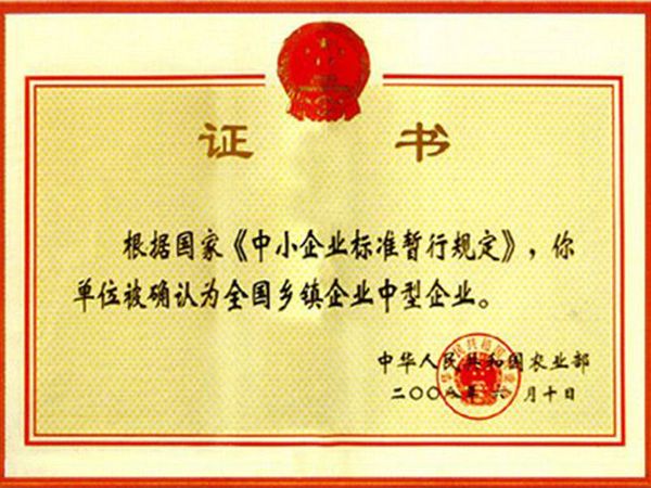 鄉鎮企業中型企業認證證書